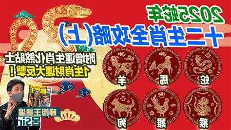 2025 年生肖運程